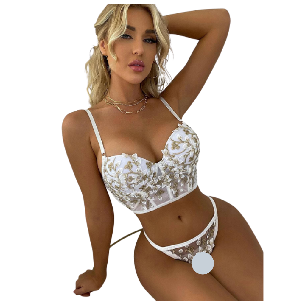 Embroidered Sexy Bra and Panty Set
